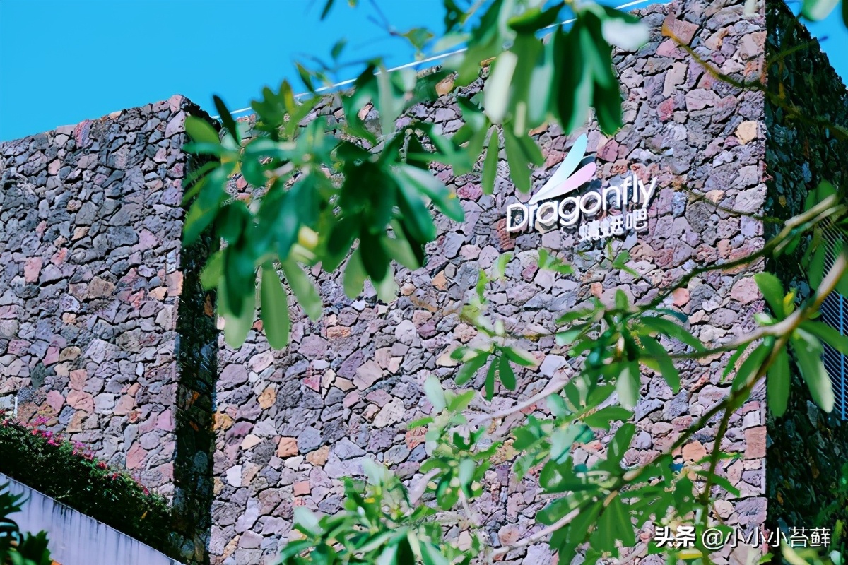 三亚吃住行,三亚自由行海边住宿攻略