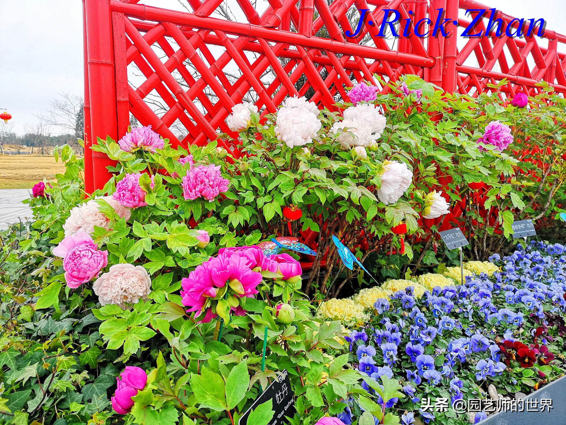 园艺研学报告,园艺园林研学