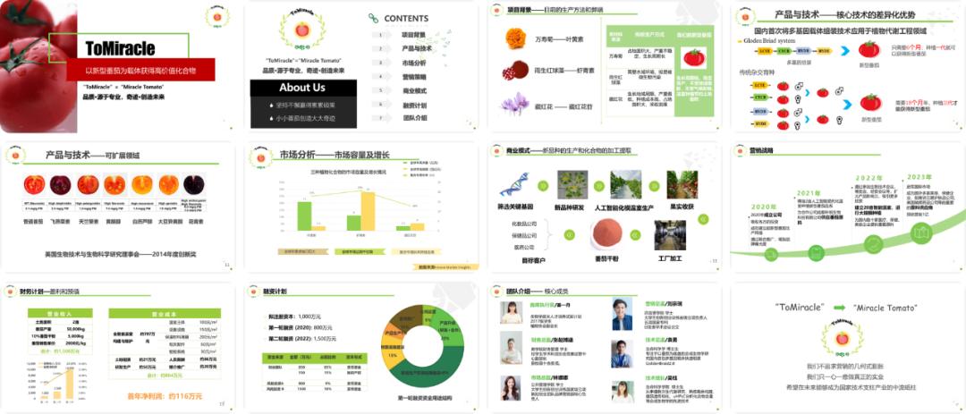 一份吸引人的ppt,一道菜让人看了隔着屏幕都流口水