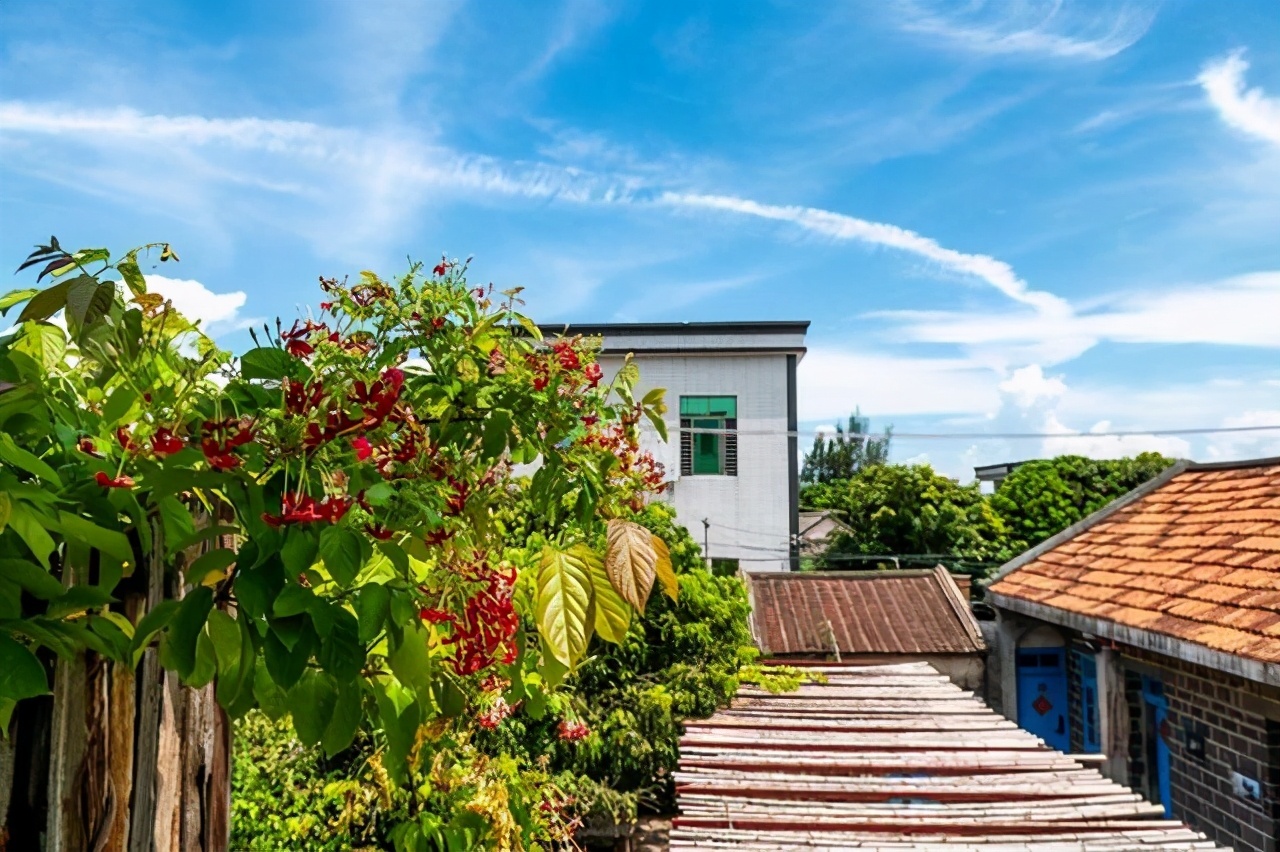 徐闻是个好地方吗,徐闻哪里有升值潜力
