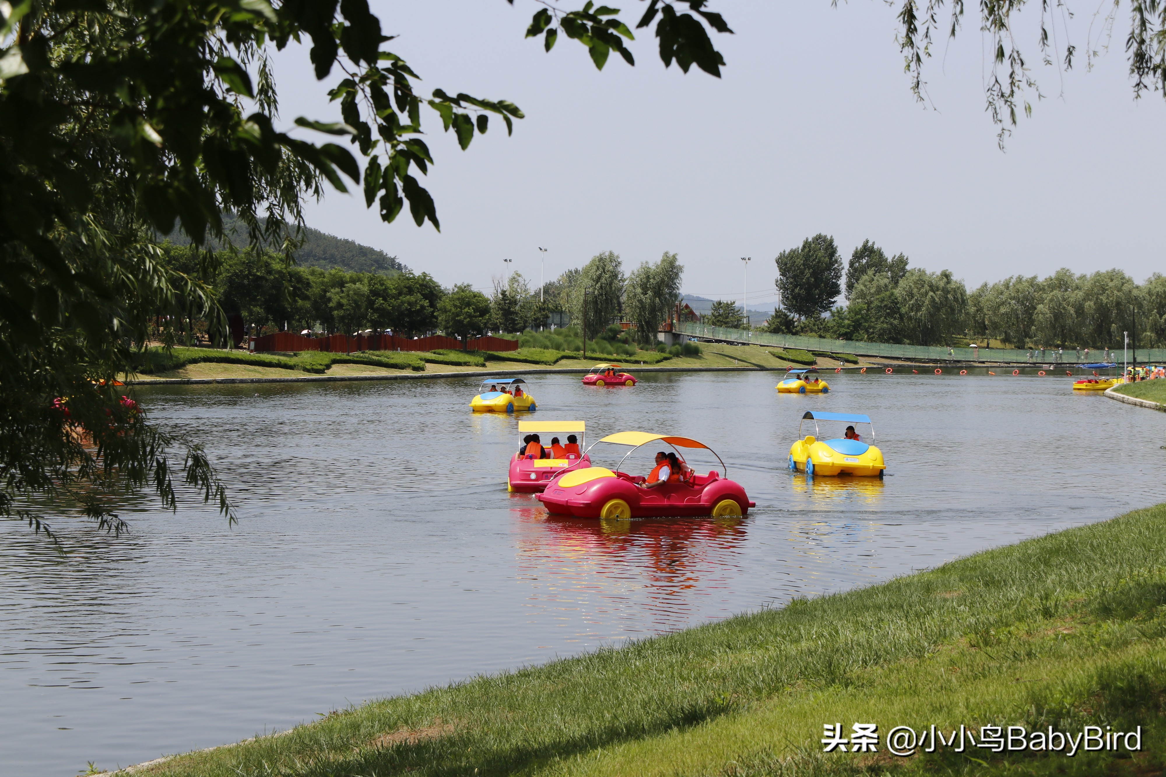 威海羊亭湿地公园深秋的美,大美威海羊亭公园