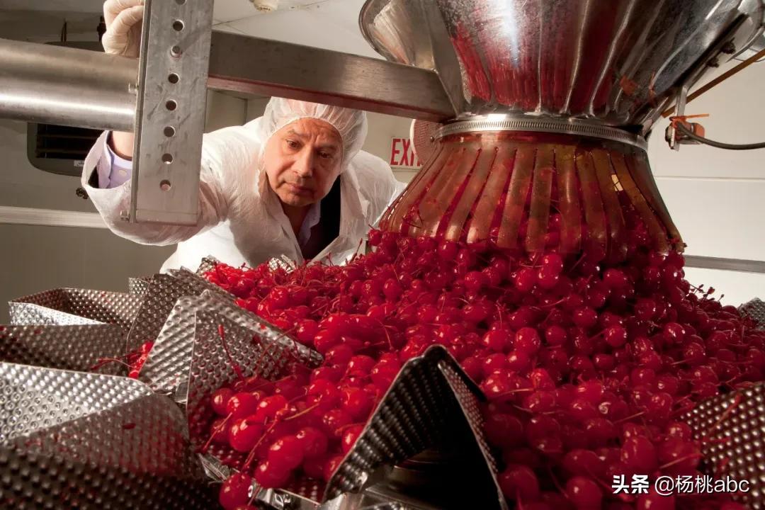 养蜂人发现蓝色蜂蜜,法国蓝色蜂蜜