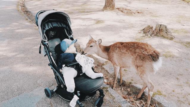 超级妈妈带娃日常生活,超级妈妈带5个孩子