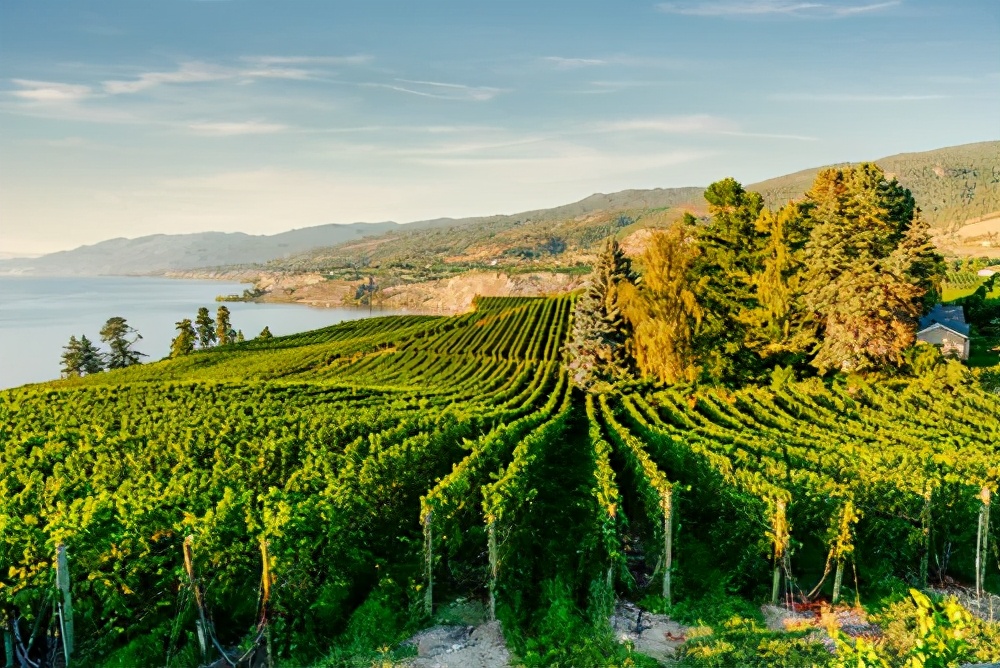 豪华公寓价格表,豪华顶级公寓