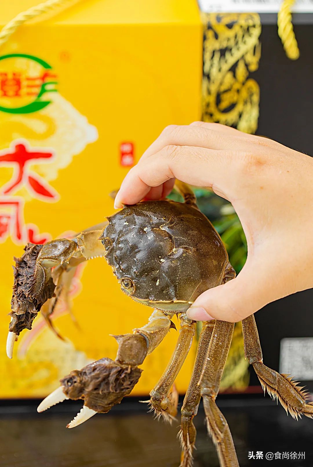 阳澄湖大闸蟹蟹黄蟹膏哪种好吃,去阳澄湖吃大闸蟹蟹黄