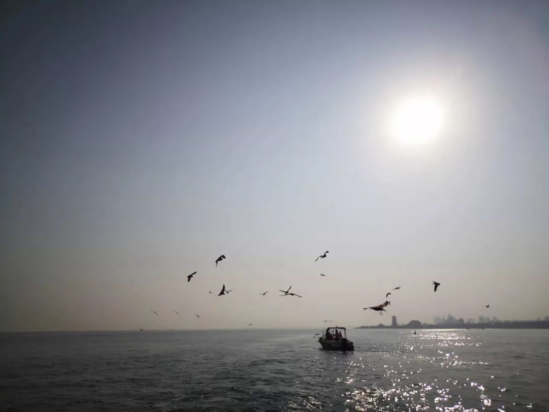 大连旅游攻略精致景点推荐,大连必去的打卡景点