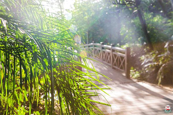 福州商场恢复营运时间,福州商场春节营业时间