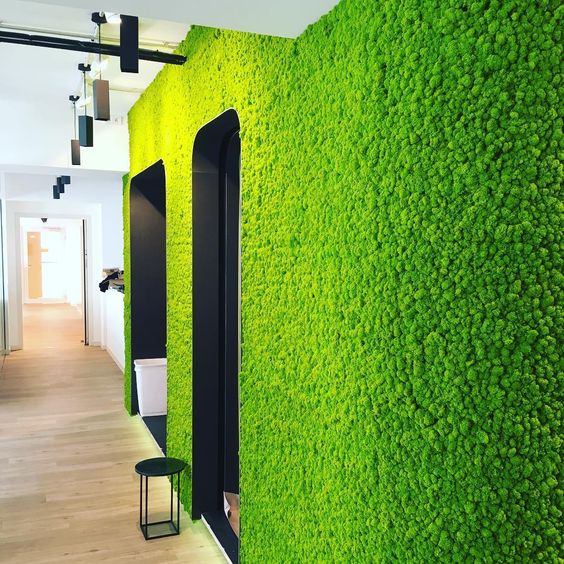 我从来不喜欢普通的墙——欧然墙纸