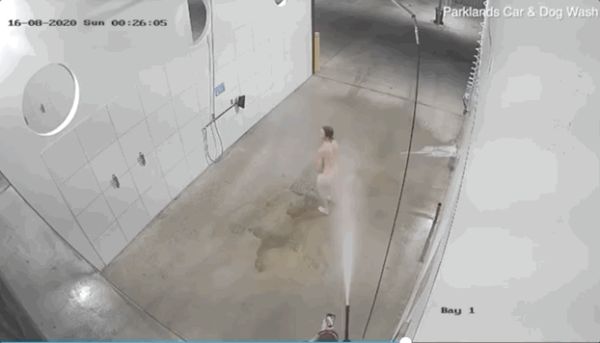 澳男子半夜全裸溜进洗车房洗自己？老板傻了：那玩意洗人会出事啊