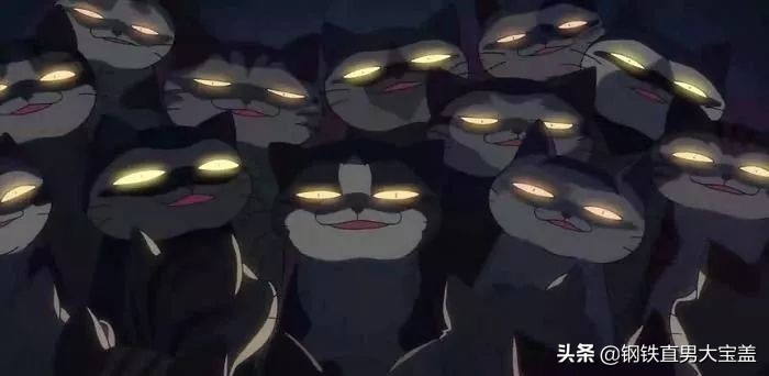 铲屎官的收藏,铲屎官不容错过的宠物清单