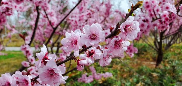 和谁在一起的确很重要美文,和谁在一起的确很重要
