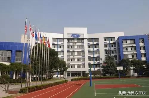 上海小学到高中的学校排名,上海最好的小学排名前十