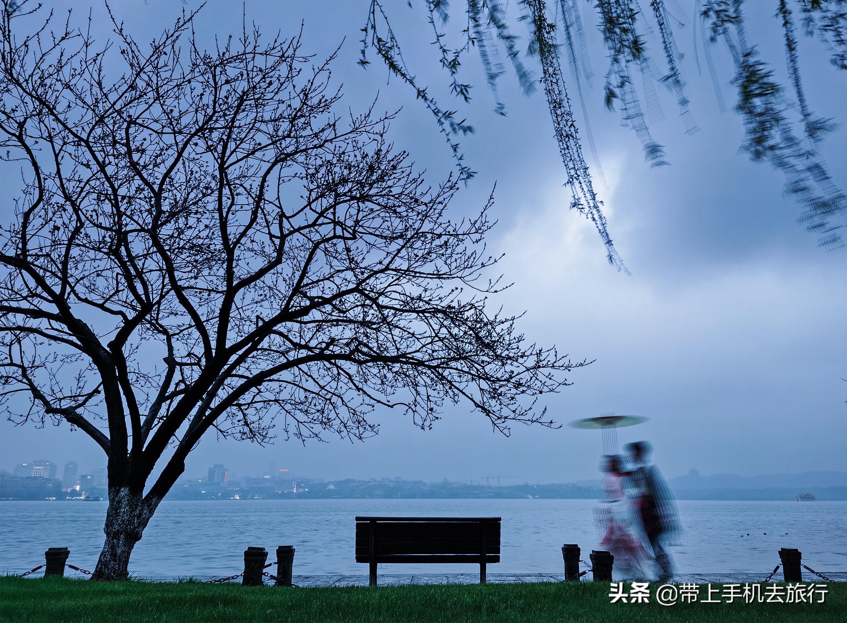 荣耀magic3pro拍照专业模式教程,mate40pro拍照专业模式使用技巧