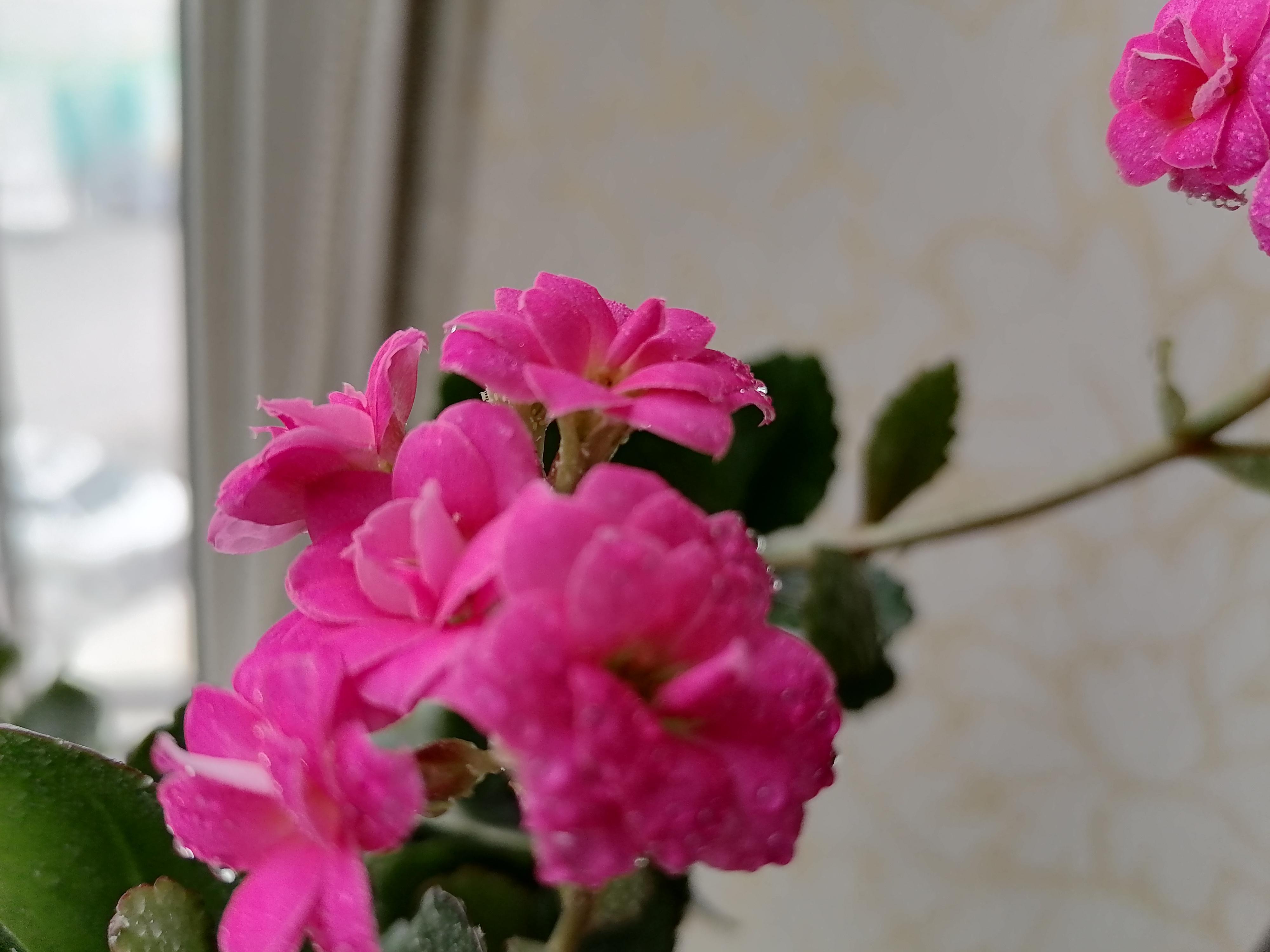 金子是如何炼成的,金子是怎么造出来