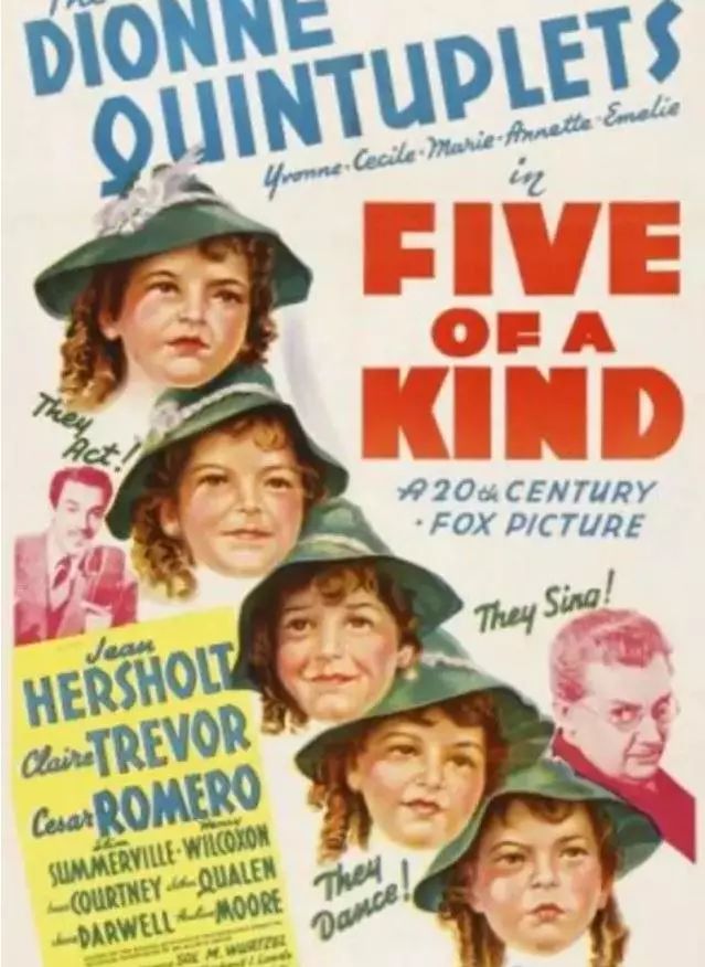 人类观光动物园,人类去动物园的迷惑行为