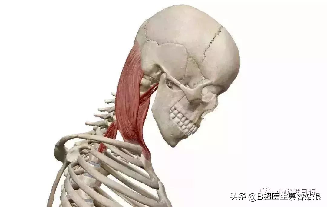 宝宝老是歪头后仰头,宝宝歪脖歪头怎么办