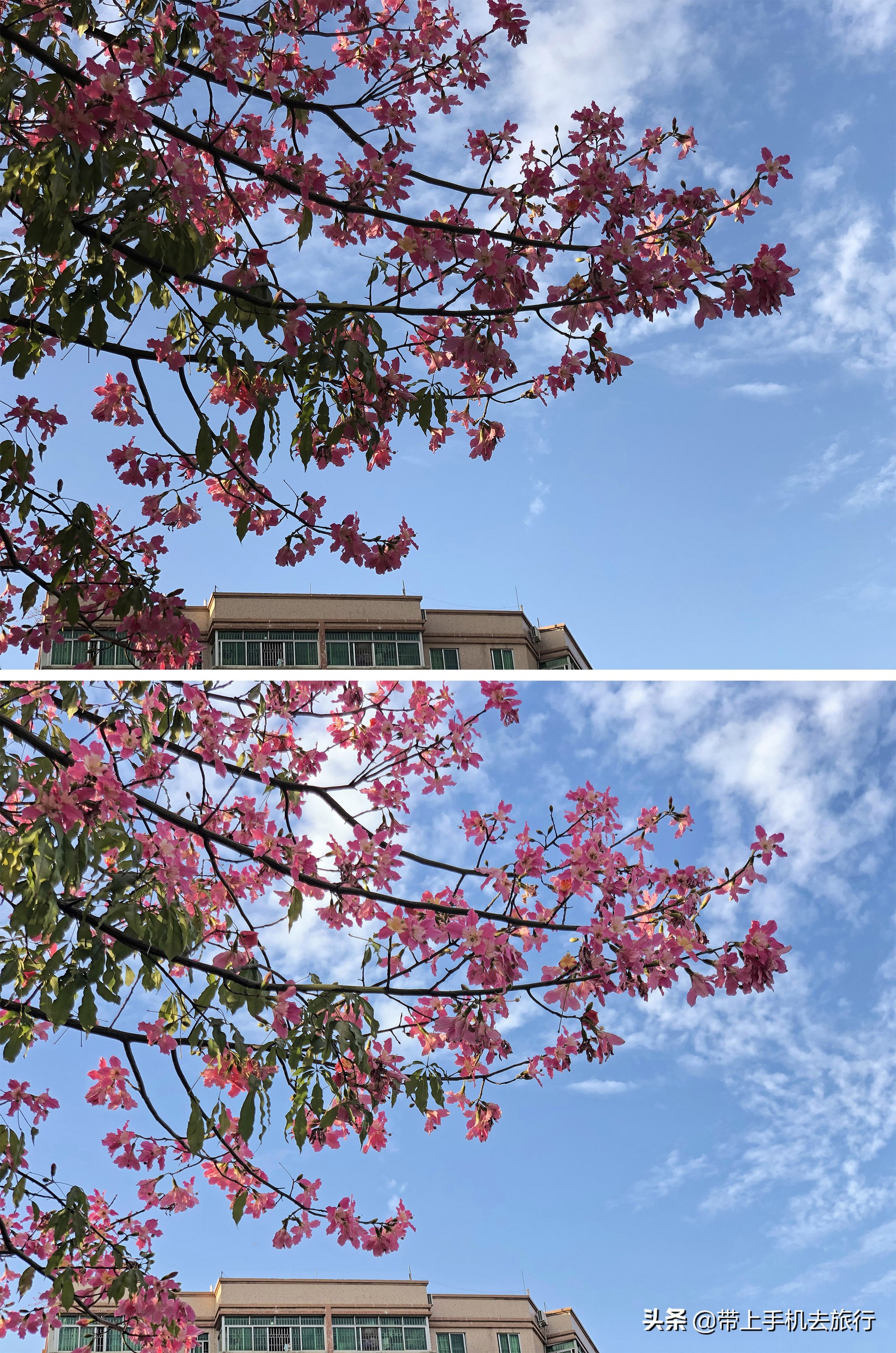 智能手机什么时候能用hdr,手机hdr适合什么时候开启