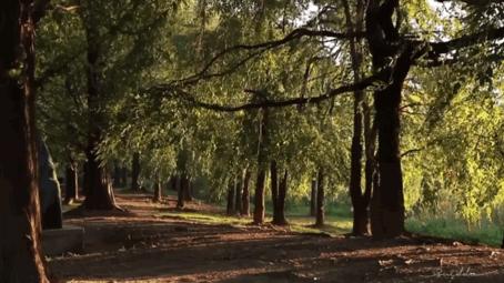 小姐姐分享自拍的“羞羞”日常，引百万人围观