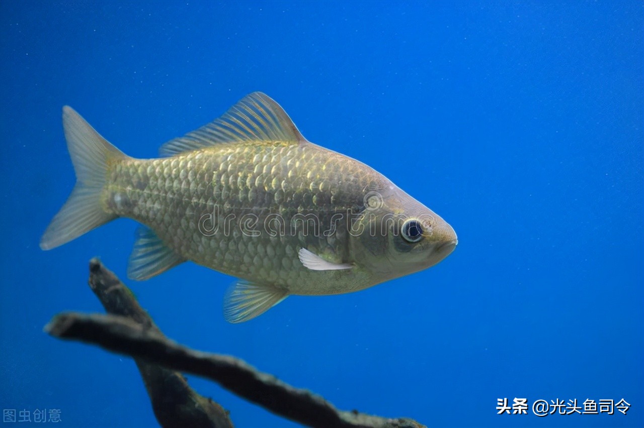 钓鱼《办法》试行:9种方式禁止使用,钓鱼人要依法钓鱼