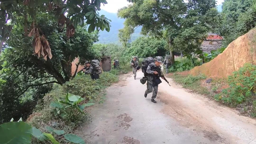 福建省军区民兵演习,战区部队的军事演练