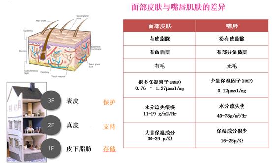 和女生聊口红,聊一聊护肤这点事