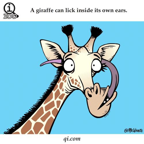 情侣之间“舔耳朵”的风险很大：小心鼓膜穿孔、听力下降