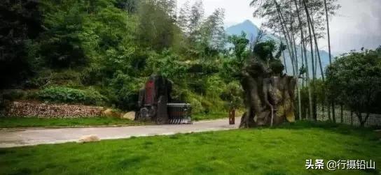 春游|五府山踏青蜜蜂谷