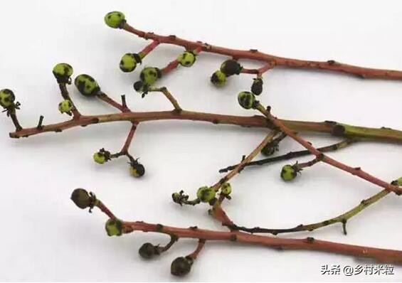 芒果买回几天为啥长黑斑,芒果买回来几天就有黑点能吃吗