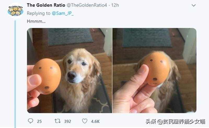 简单一招，比Ai换脸还厉害，毫无违和的牛头梗照片