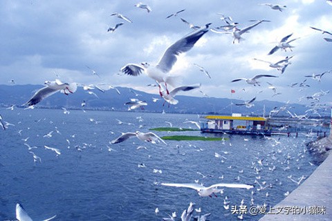 微信怎么别人发信息可以立刻回复,怎么才能自己跟自己发信息