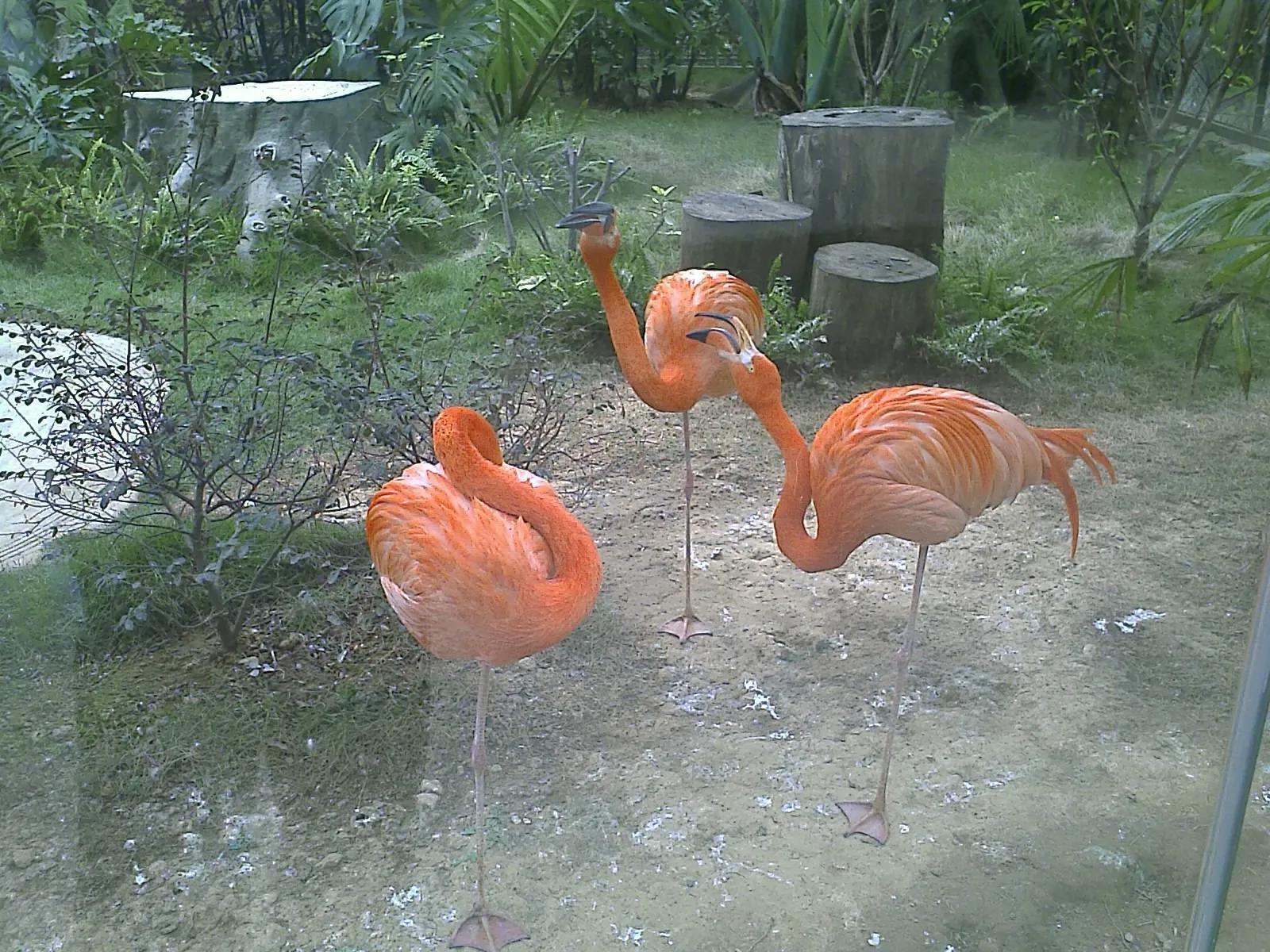 曾经特别火的拍照手机,那些年的拍照手机