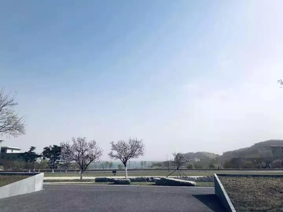 辽宁省高校（三十一）大连医科大学