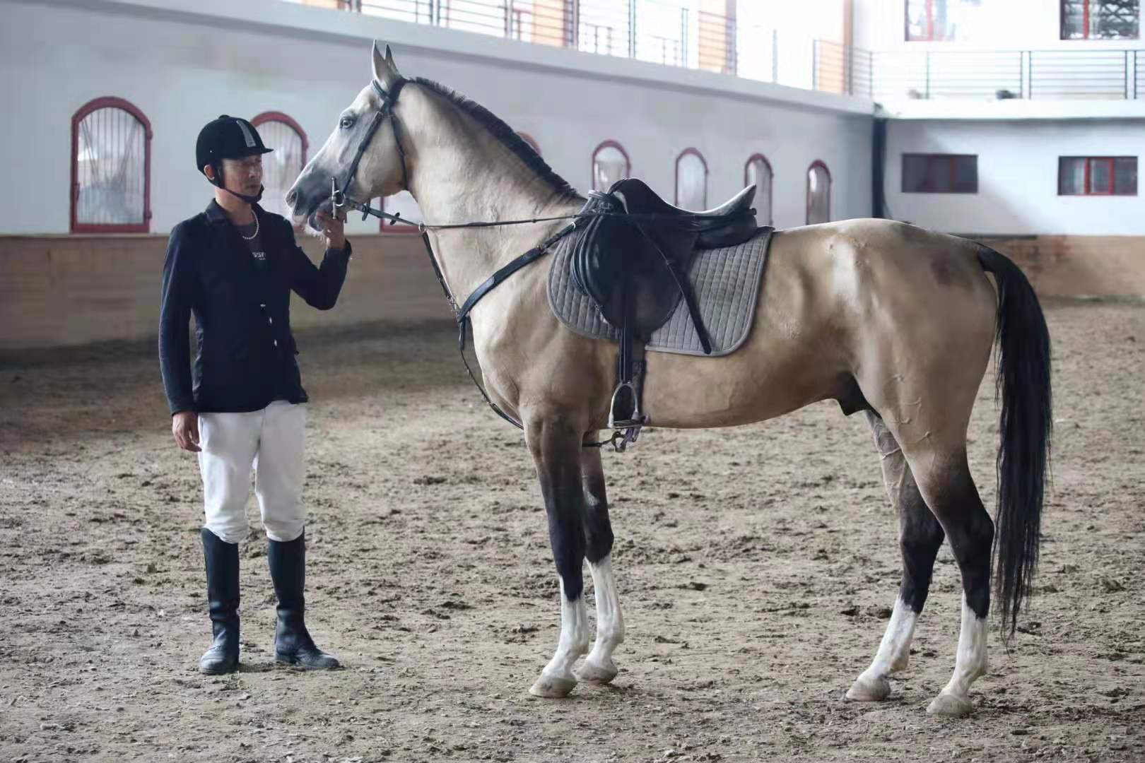 锡林郭勒大草原3天旅游攻略,锡林郭勒大草原五日游推荐