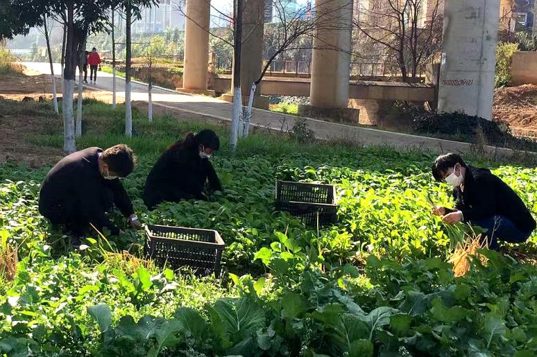 昆明经开区疫情防控,抗击疫情众志成城护家园
