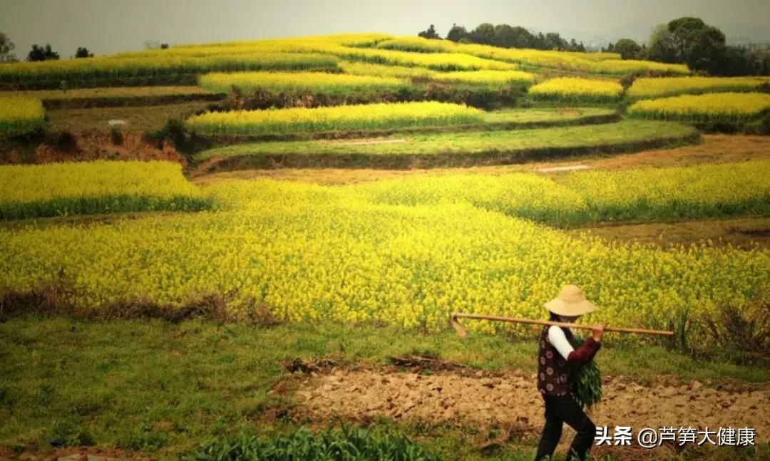 农发贷最新信息,农发贷款