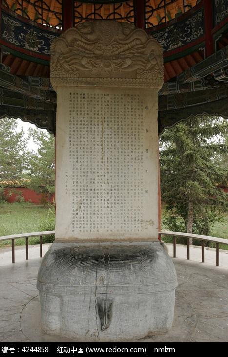 1954年的内蒙古自治区,内蒙古自治区69年大事记