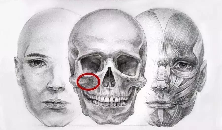 颧骨为什么不能美成俞飞鸿,俞飞鸿颧骨抗老