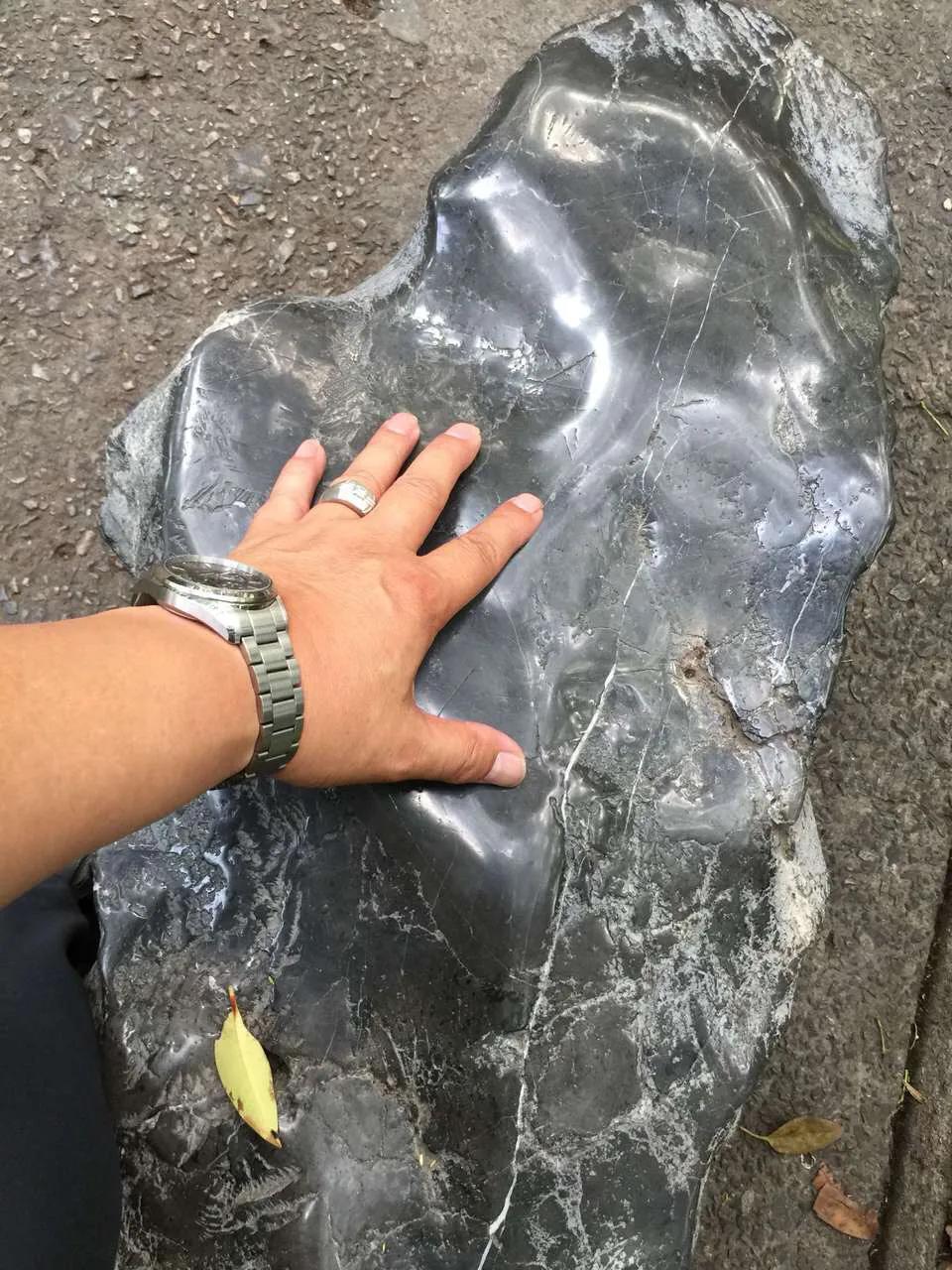 上海长风公园海洋世界,上海长风公园2号门地址