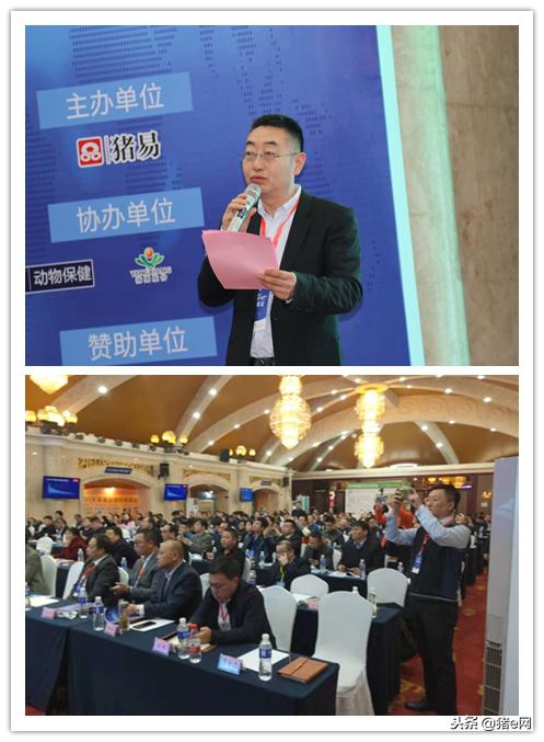 养猪如何支撑利润目标达成,养殖猪发展趋势