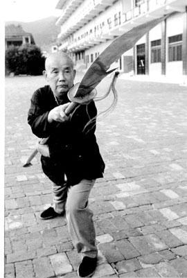 少林塔沟武校实力展示,塔沟武校从哪一年开始登上春晚