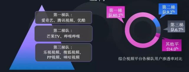 vip会员生活,会员新经济模板