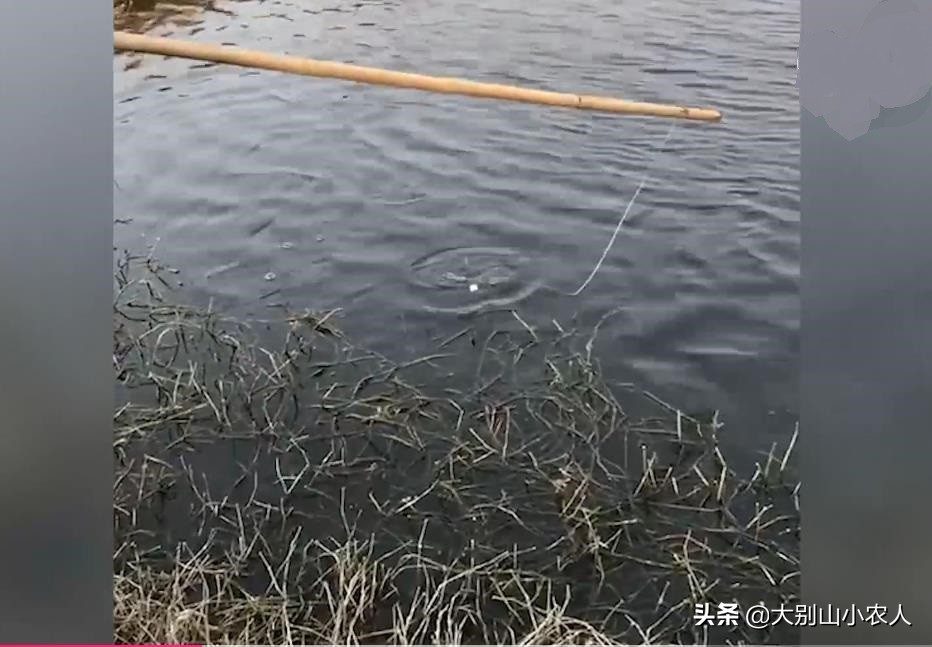 钩子挂泡沫钓鱼,泡沫挂钩能钓鱼吗