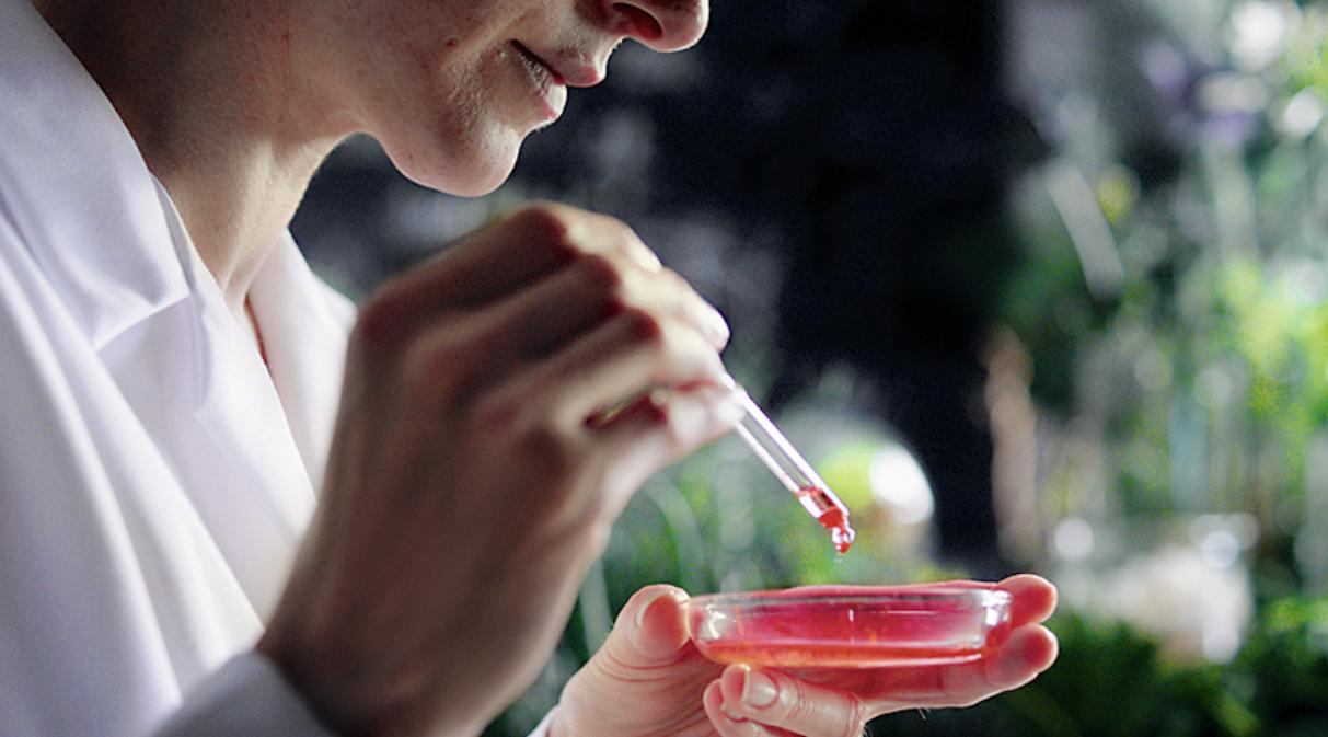 德国安娜柏林重生眼霜,德国安娜柏林纯有机天然护肤品