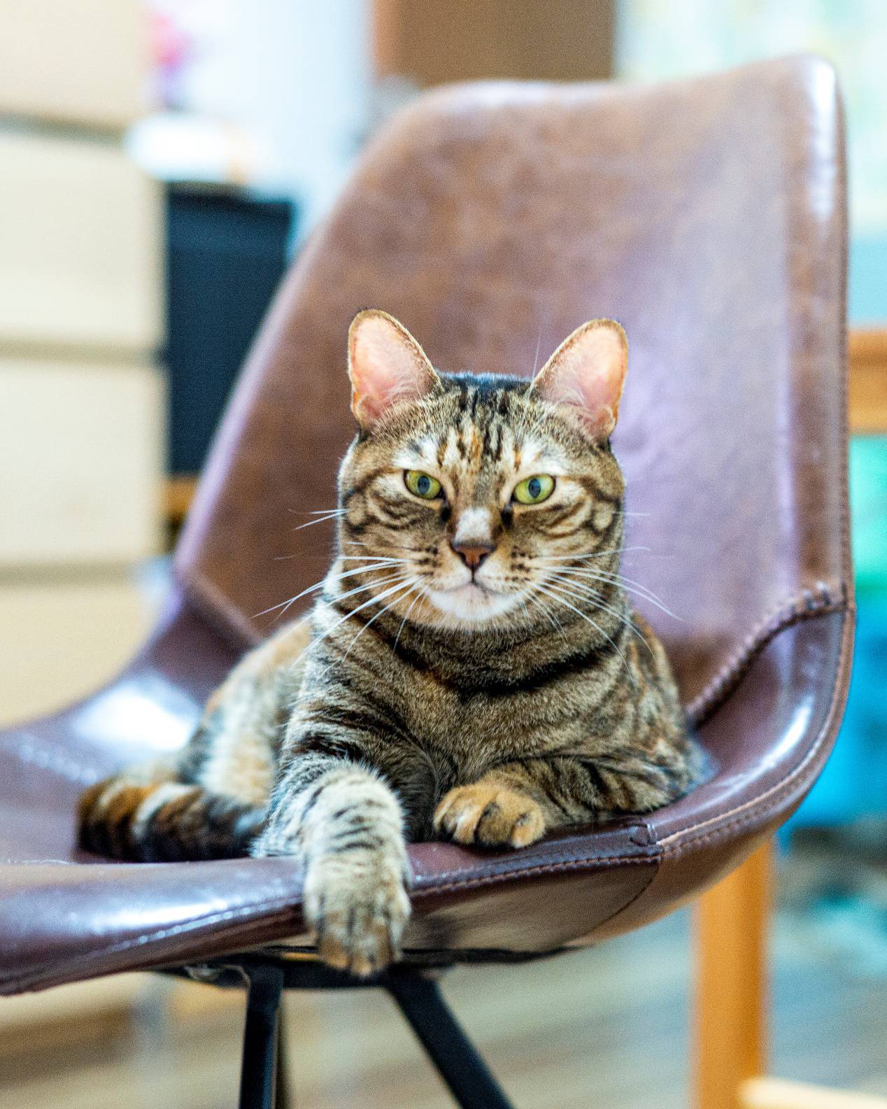 铭匠35mmf1.4使用教程,铭匠35mmf1.4和星曜50mm1.8