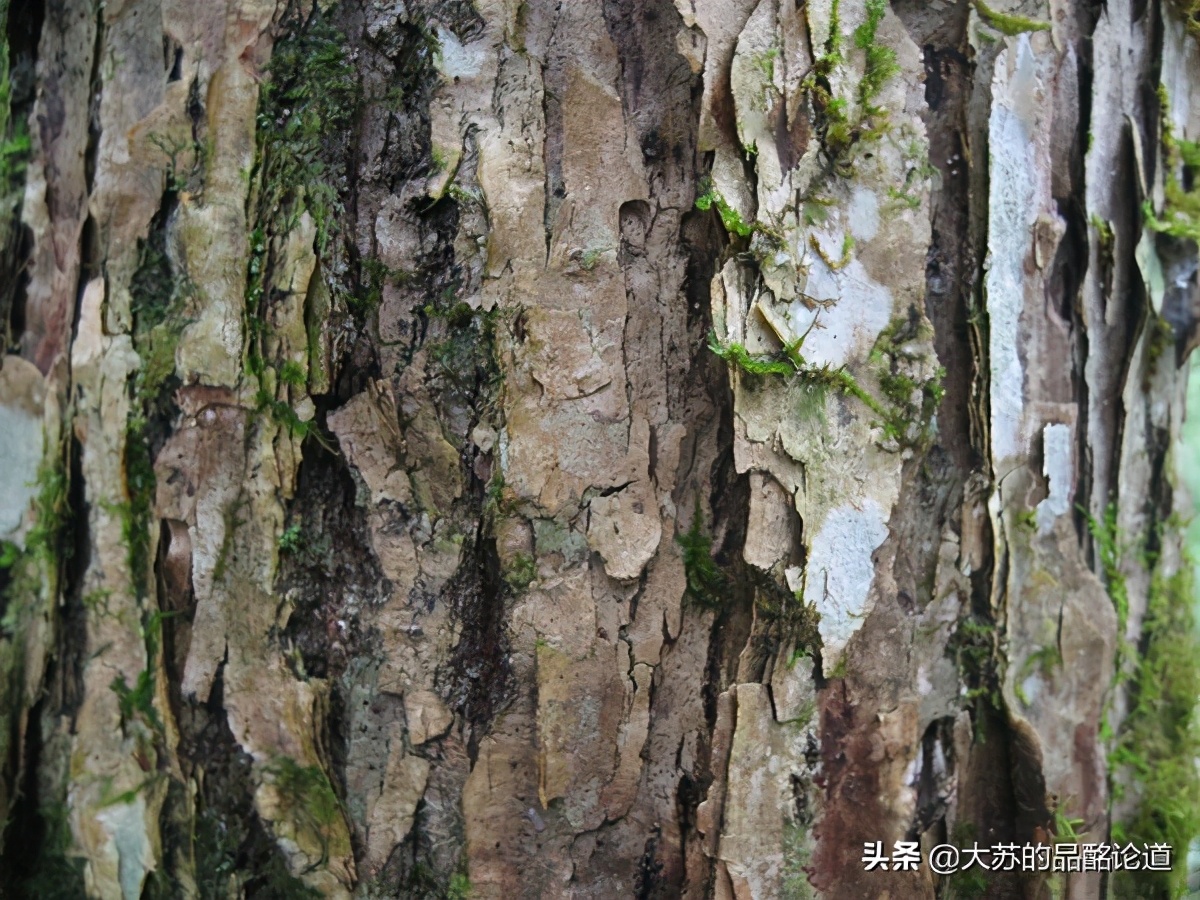 威士忌五花八门,威士忌的奇葩搭配
