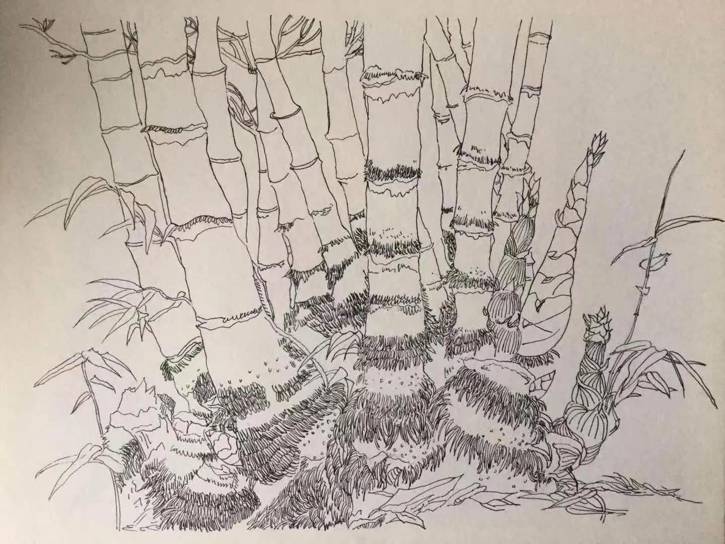 画吧画友作品欣赏,幸福原创画作品