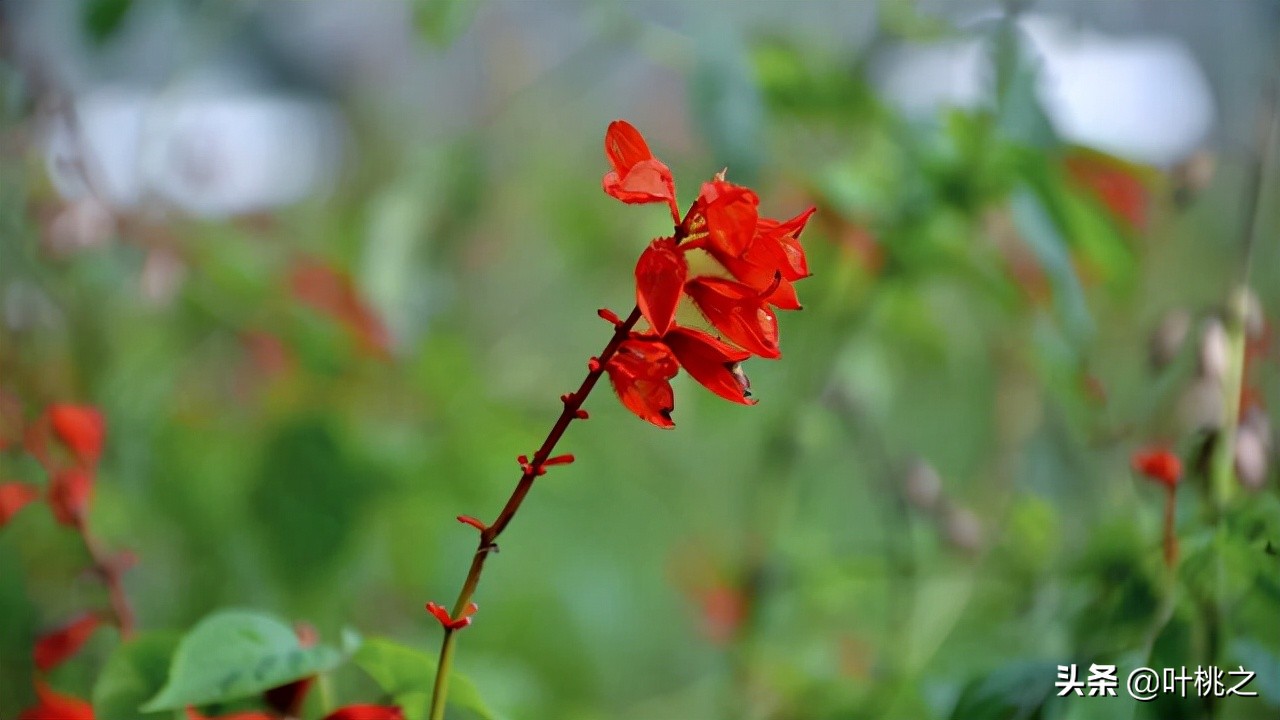 留意一下朋友圈从不给你点赞的人,请远离那些不给你点赞的人
