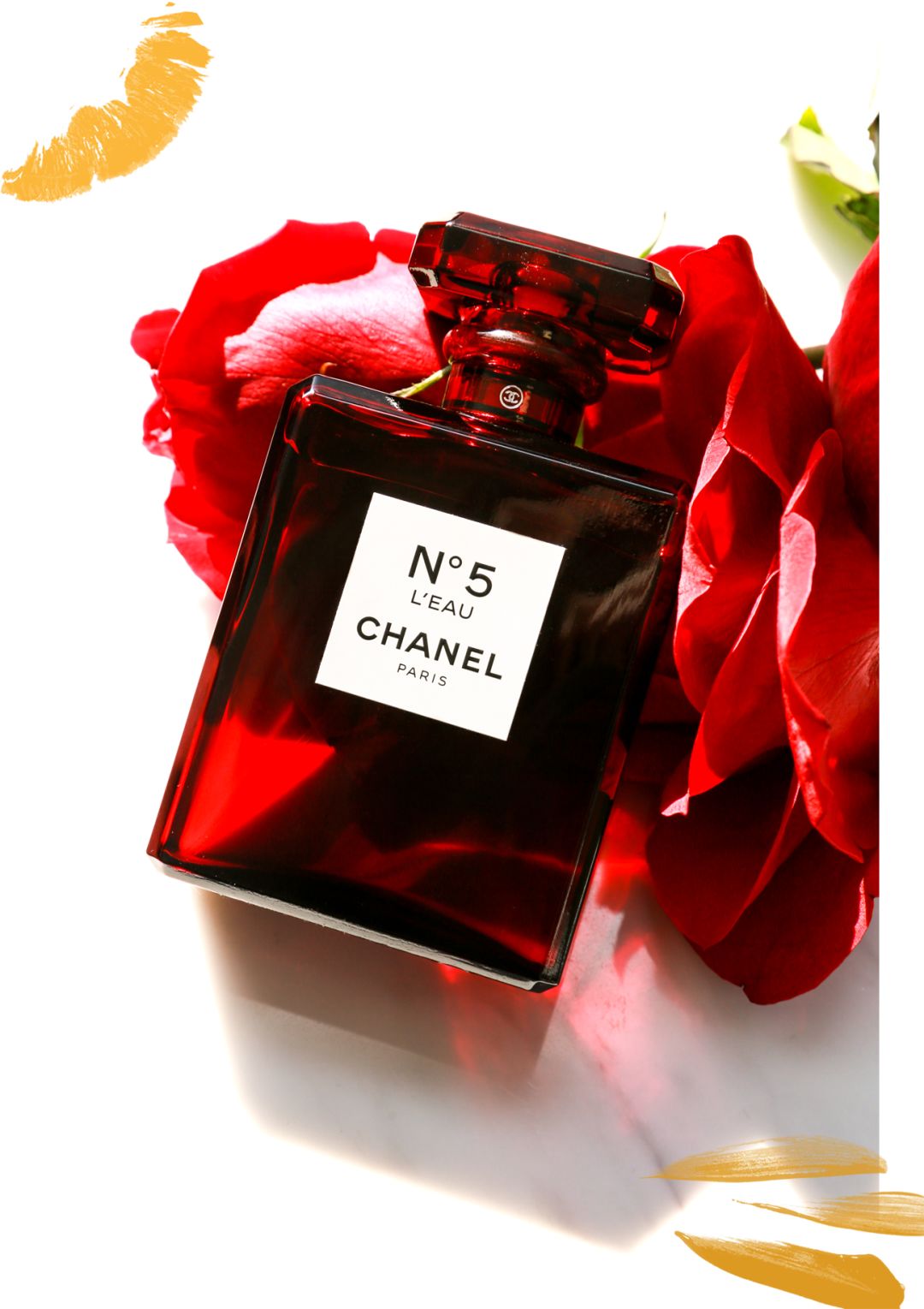 近期爱用物分享|这些都是11月黑五之前买的