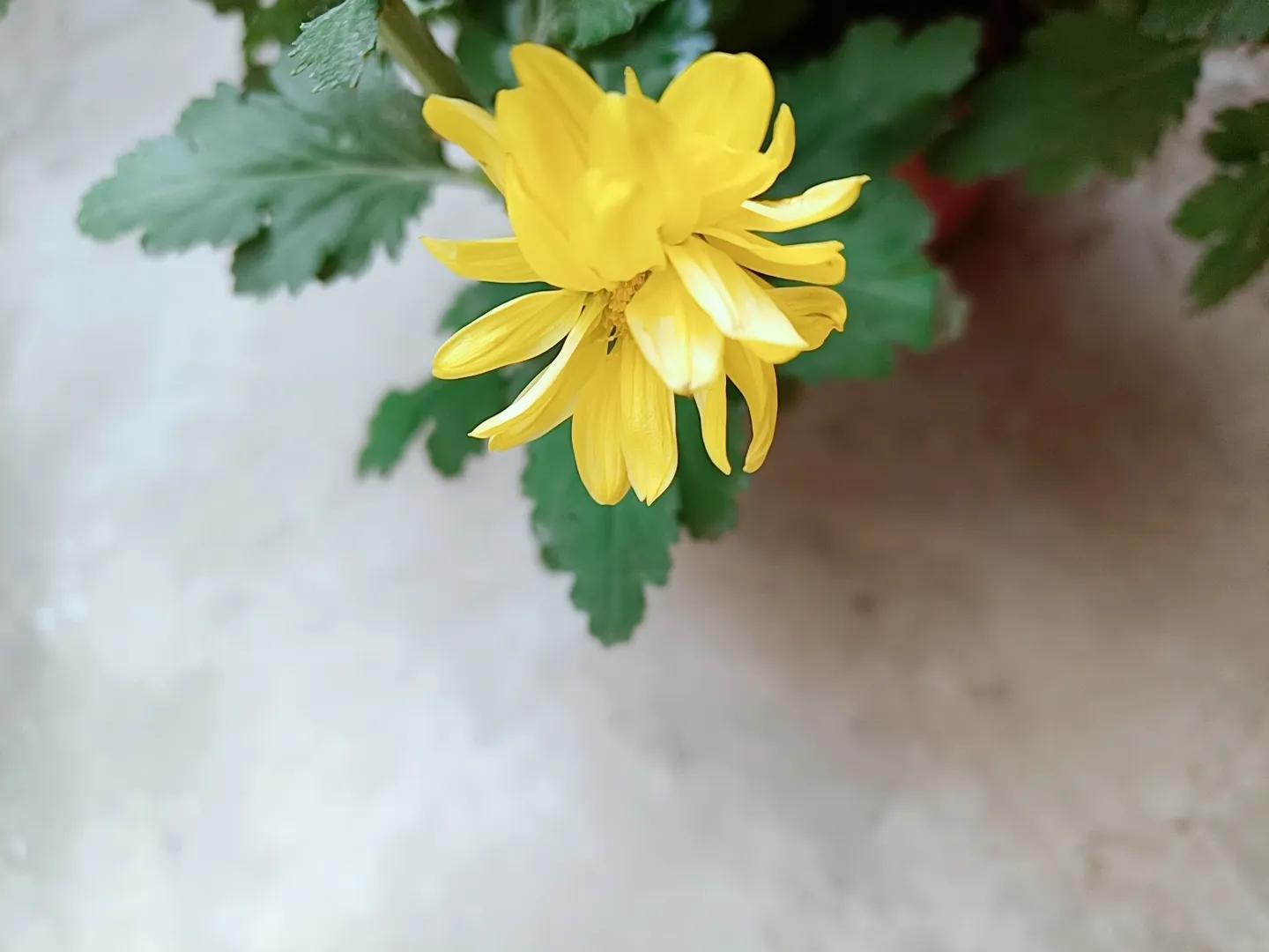 现实中爱情的样子,#爱情最美的样子