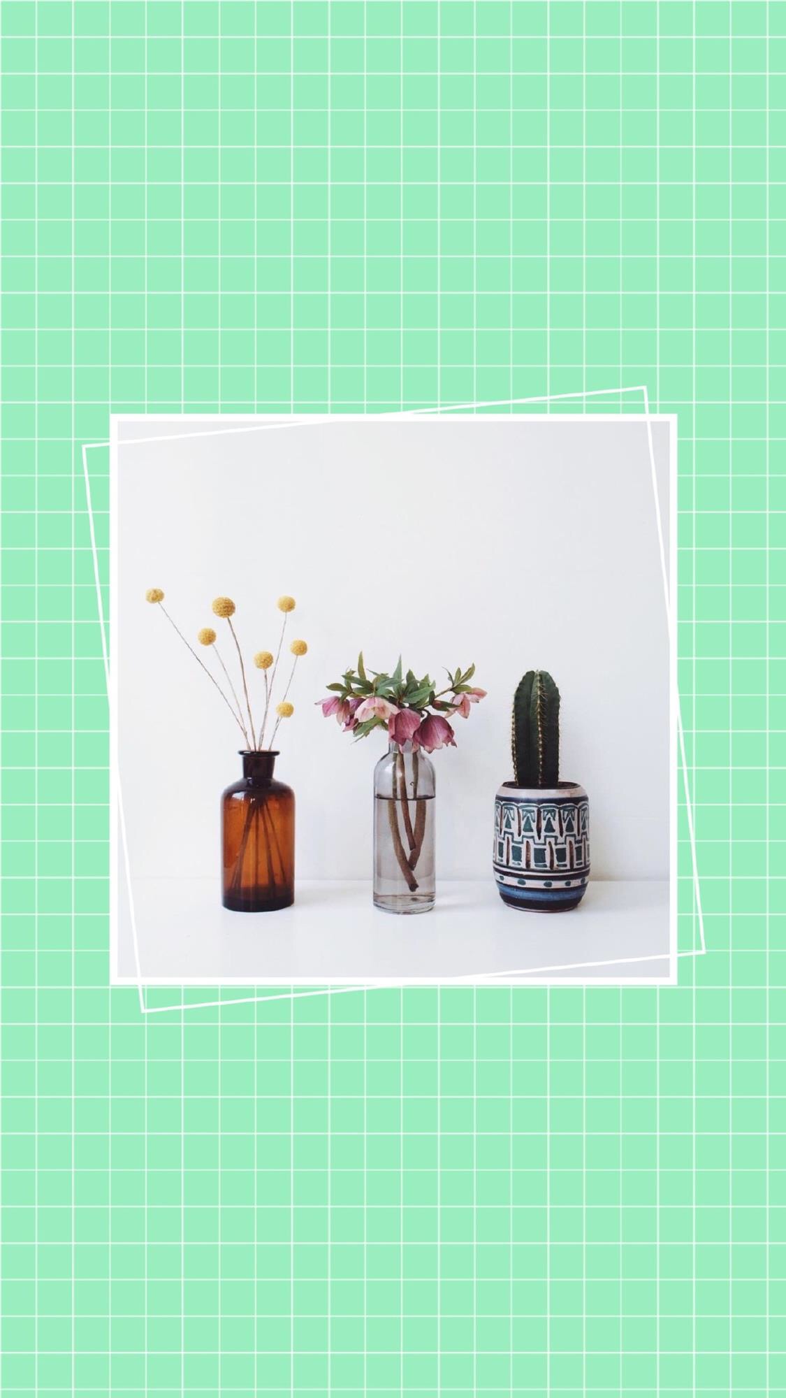 干净绿色系锁屏壁纸聊天背景,最近很火绿色的锁屏壁纸